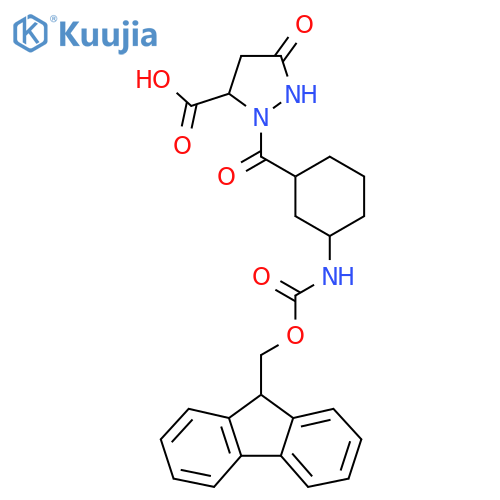 2-3-({(9H-fluoren-9-yl)methoxycarbonyl}amino)cyclohexanecarbonyl-5-oxopyrazolidine-3-carboxylic acid structure