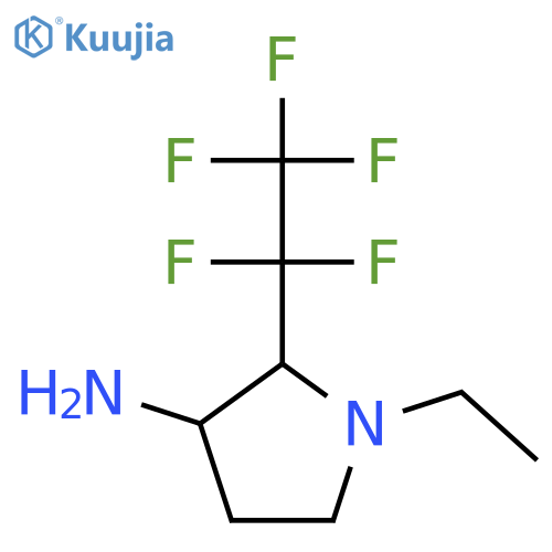 1-ethyl-2-(pentafluoroethyl)pyrrolidin-3-amine structure
