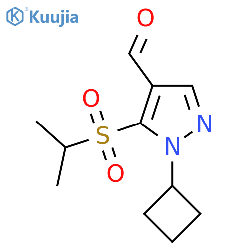 1-cyclobutyl-5-(propane-2-sulfonyl)-1H-pyrazole-4-carbaldehyde structure