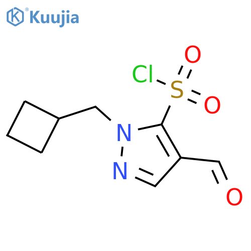 1-(cyclobutylmethyl)-4-formyl-1H-pyrazole-5-sulfonyl chloride structure