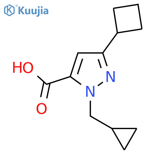 3-cyclobutyl-1-(cyclopropylmethyl)-1H-pyrazole-5-carboxylic acid structure