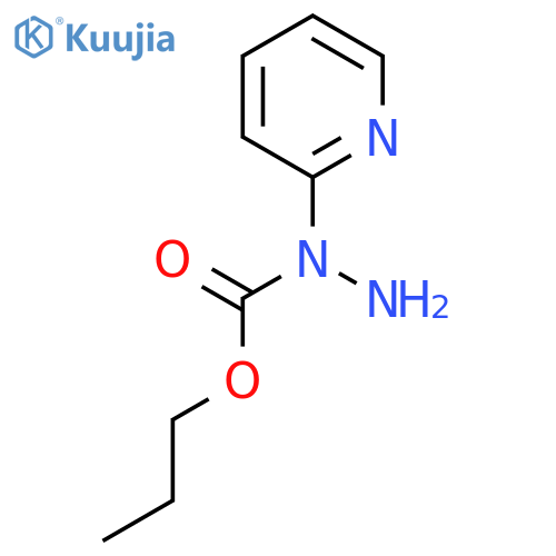 N-(pyridin-2-yl)propoxycarbohydrazide structure