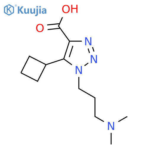 5-cyclobutyl-1-3-(dimethylamino)propyl-1H-1,2,3-triazole-4-carboxylic acid structure