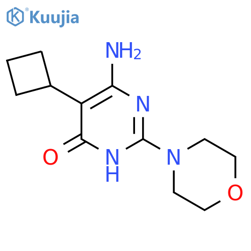 6-amino-5-cyclobutyl-2-(morpholin-4-yl)-3,4-dihydropyrimidin-4-one structure