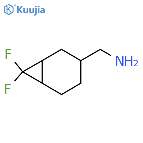 (7,7-difluoronorcaran-3-yl)methanamine structure
