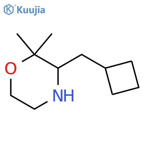 3-(cyclobutylmethyl)-2,2-dimethylmorpholine structure