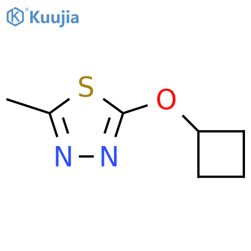 2-cyclobutoxy-5-methyl-1,3,4-thiadiazole structure