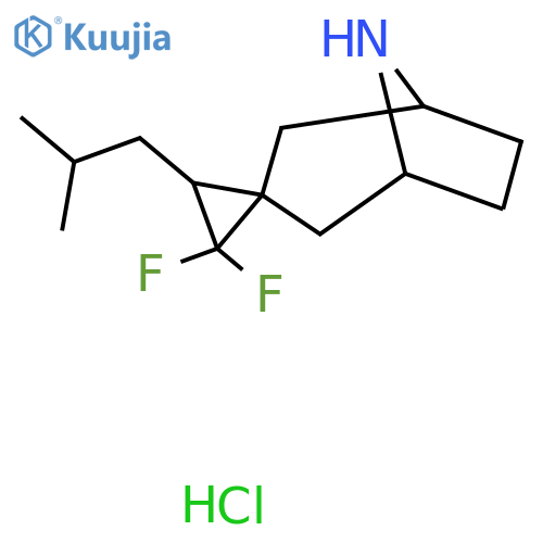 3',3'-difluoro-2'-(2-methylpropyl)-8-azaspiro[bicyclo[3.2.1]octane-3,1'-cyclopropane] hydrochloride structure
