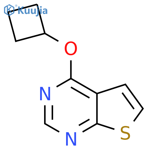 4-Cyclobutoxythieno[2,3-d]pyrimidine structure
