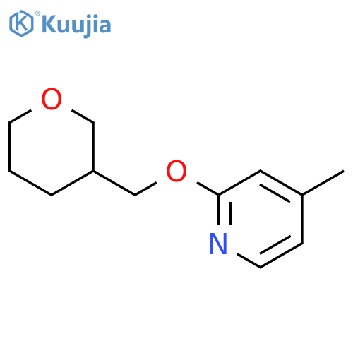 4-methyl-2-[(oxan-3-yl)methoxy]pyridine structure