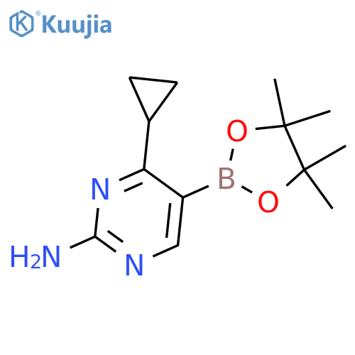 2-Amino-4-(cyclopropyl)pyrimidine-5-boronic acid pinacol ester structure
