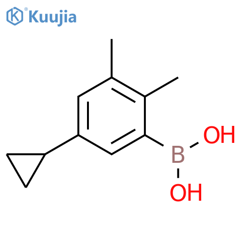 2，3-Dimethyl-5-cyclopropylphenylboronic acid structure