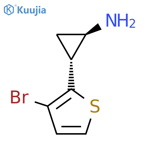 rac-(1R,2R)-2-(3-bromothiophen-2-yl)cyclopropan-1-amine structure