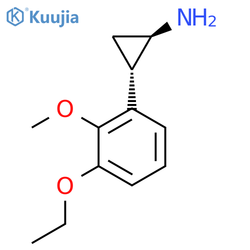 rac-(1R,2S)-2-(3-ethoxy-2-methoxyphenyl)cyclopropan-1-amine structure