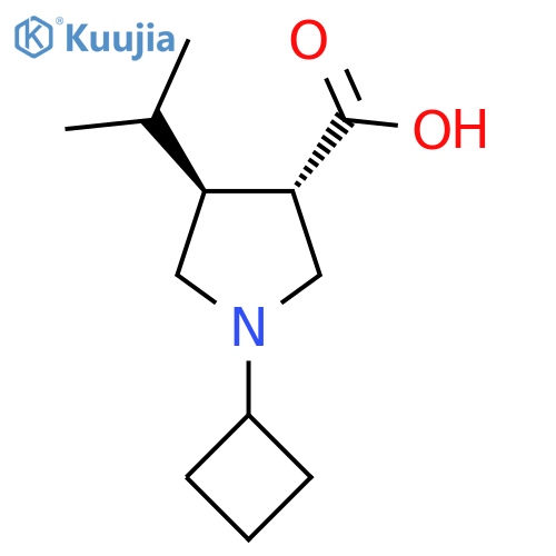 1-cyclobutyl-4-(propan-2-yl)pyrrolidine-3-carboxylic acid structure