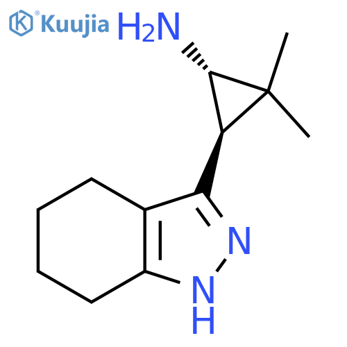 rac-(1R,3S)-2,2-dimethyl-3-(4,5,6,7-tetrahydro-1H-indazol-3-yl)cyclopropan-1-amine structure