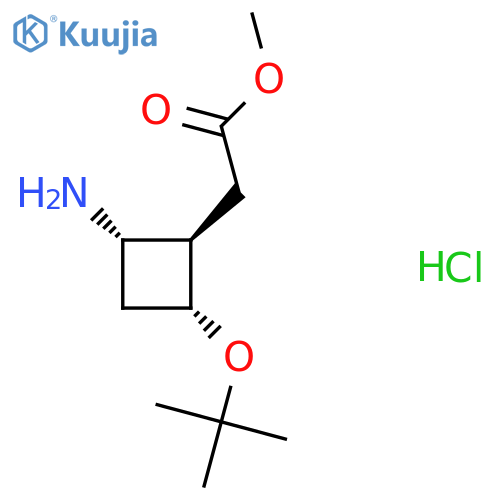 rac-methyl 2-[(1s,2r,4s)-2-amino-4-(tert-butoxy)cyclobutyl]acetate hydrochloride structure