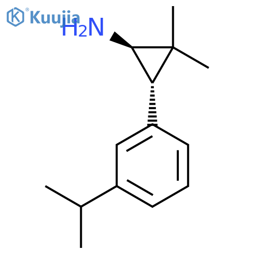 rac-(1R,3S)-2,2-dimethyl-3-3-(propan-2-yl)phenylcyclopropan-1-amine structure