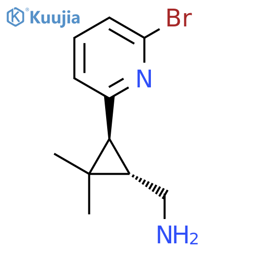 rac-(1R,3R)-3-(6-bromopyridin-2-yl)-2,2-dimethylcyclopropylmethanamine structure