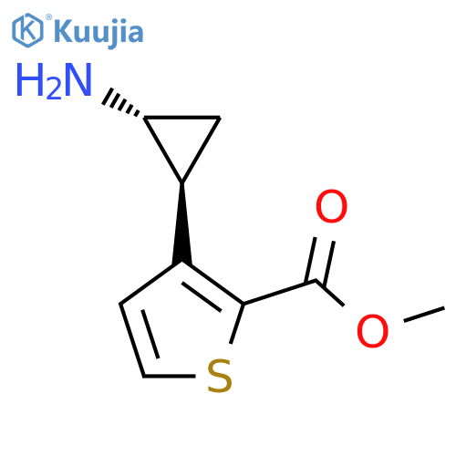 rac-methyl 3-(1R,2S)-2-aminocyclopropylthiophene-2-carboxylate structure