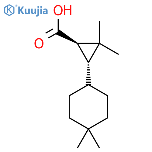rac-(1R,3R)-3-(4,4-dimethylcyclohexyl)-2,2-dimethylcyclopropane-1-carboxylic acid structure