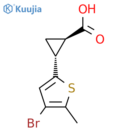 rac-(1R,2R)-2-(4-bromo-5-methylthiophen-2-yl)cyclopropane-1-carboxylic acid structure