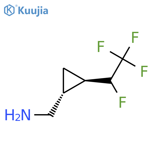 rac-(1R,2R)-2-(1,2,2,2-tetrafluoroethyl)cyclopropylmethanamine structure