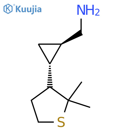 rac-(1R,2R)-2-(2,2-dimethylthiolan-3-yl)cyclopropylmethanamine structure
