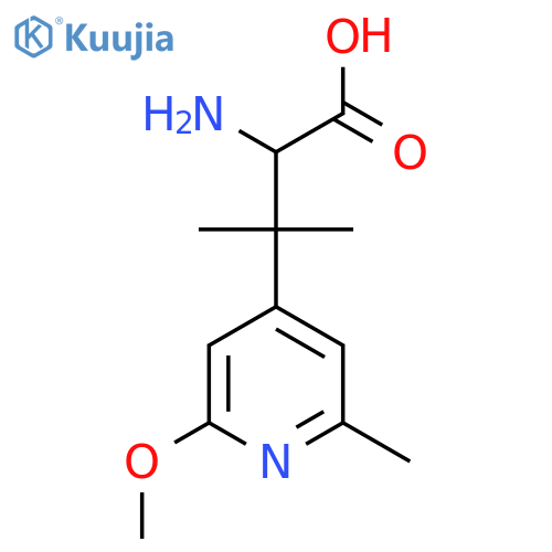 2-amino-3-(2-methoxy-6-methylpyridin-4-yl)-3-methylbutanoic acid structure