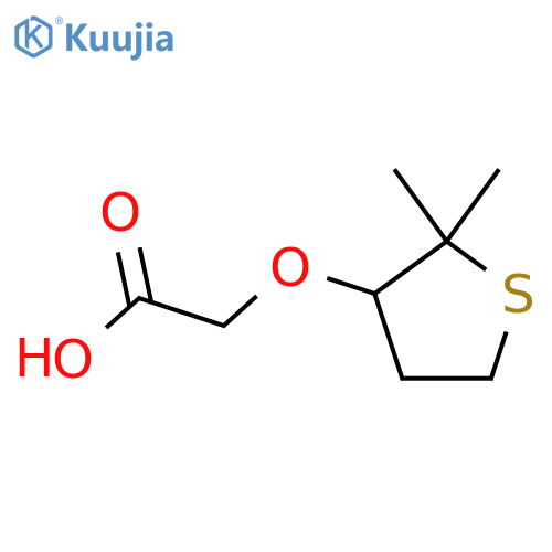 2-(2,2-dimethylthiolan-3-yl)oxyacetic acid structure