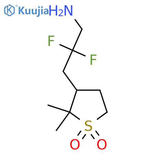 3-(3-amino-2,2-difluoropropyl)-2,2-dimethyl-1lambda6-thiolane-1,1-dione structure