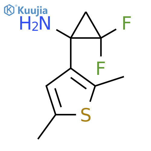 1-(2,5-dimethylthiophen-3-yl)-2,2-difluorocyclopropan-1-amine structure