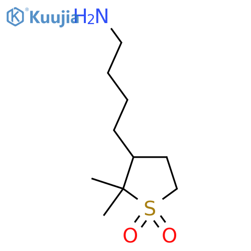 3-(4-aminobutyl)-2,2-dimethyl-1lambda6-thiolane-1,1-dione structure