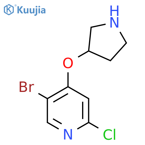 5-bromo-2-chloro-4-(pyrrolidin-3-yloxy)pyridine structure