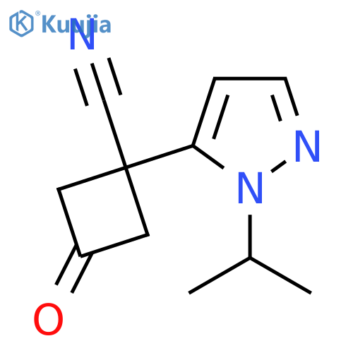 3-oxo-1-1-(propan-2-yl)-1H-pyrazol-5-ylcyclobutane-1-carbonitrile structure