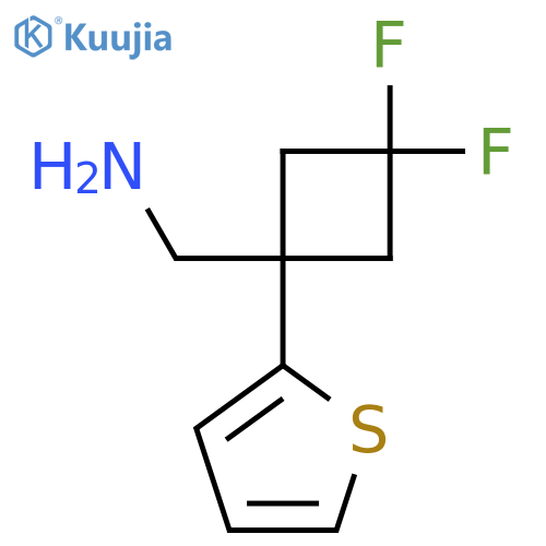3,3-difluoro-1-(thiophen-2-yl)cyclobutylmethanamine structure