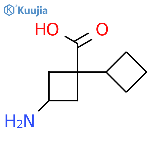 3-amino-1-cyclobutylcyclobutane-1-carboxylic acid structure