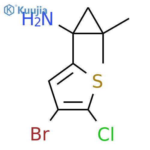1-(4-bromo-5-chlorothiophen-2-yl)-2,2-dimethylcyclopropan-1-amine structure
