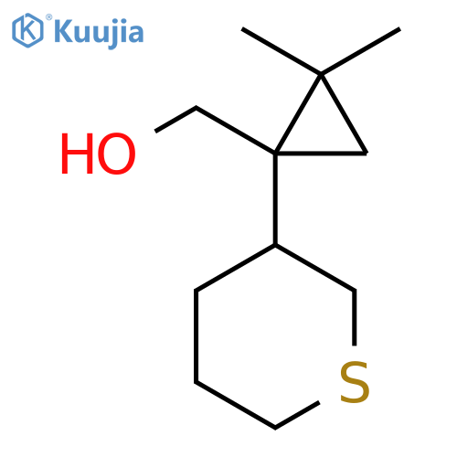 2,2-dimethyl-1-(thian-3-yl)cyclopropylmethanol structure