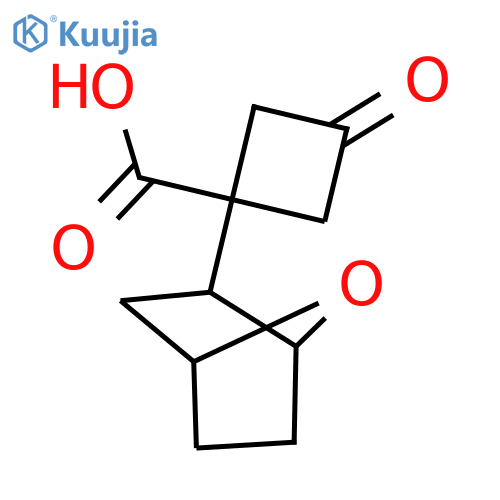 1-{7-oxabicyclo2.2.1heptan-2-yl}-3-oxocyclobutane-1-carboxylic acid structure