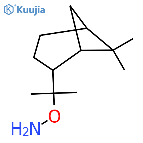 O-(2-{6,6-dimethylbicyclo3.1.1heptan-2-yl}propan-2-yl)hydroxylamine structure