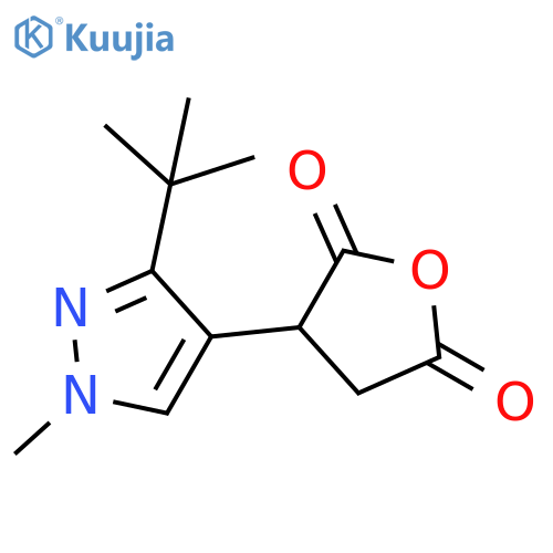 3-(3-tert-butyl-1-methyl-1H-pyrazol-4-yl)oxolane-2,5-dione structure