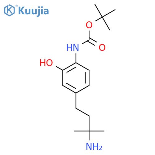 tert-butyl N-4-(3-amino-3-methylbutyl)-2-hydroxyphenylcarbamate structure