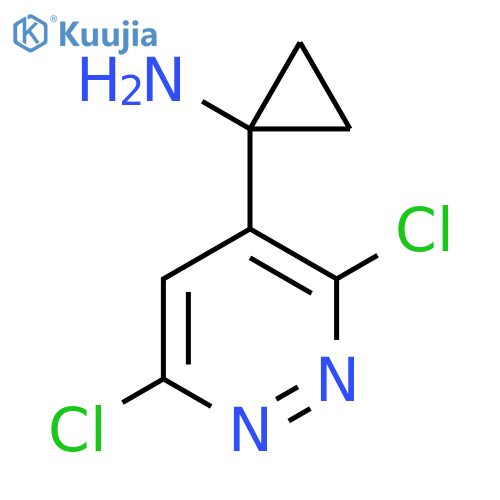 1-(3,6-dichloropyridazin-4-yl)cyclopropan-1-amine structure