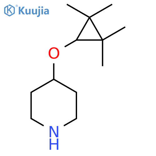 4-(2,2,3,3-tetramethylcyclopropoxy)piperidine structure