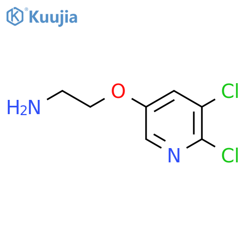 2-(5,6-dichloropyridin-3-yl)oxyethan-1-amine structure