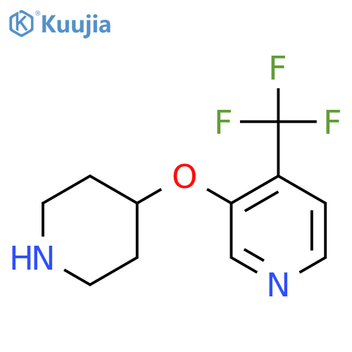 3-(piperidin-4-yloxy)-4-(trifluoromethyl)pyridine structure