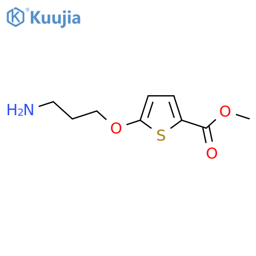 methyl 5-(3-aminopropoxy)thiophene-2-carboxylate structure