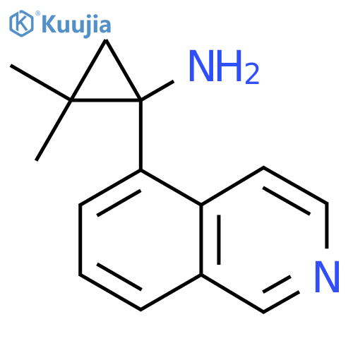 1-(isoquinolin-5-yl)-2,2-dimethylcyclopropan-1-amine structure