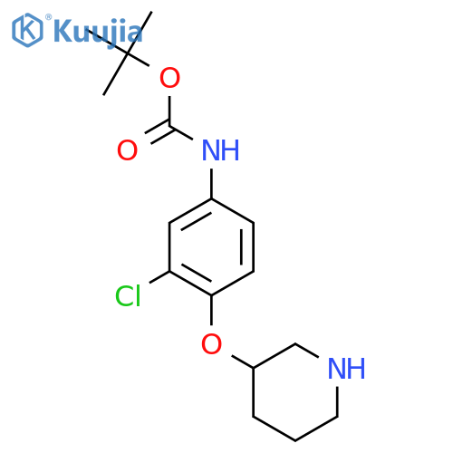 tert-butyl N-3-chloro-4-(piperidin-3-yloxy)phenylcarbamate structure